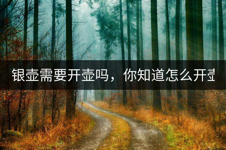 銀壺需要開壺嗎，你知道怎么開壺？