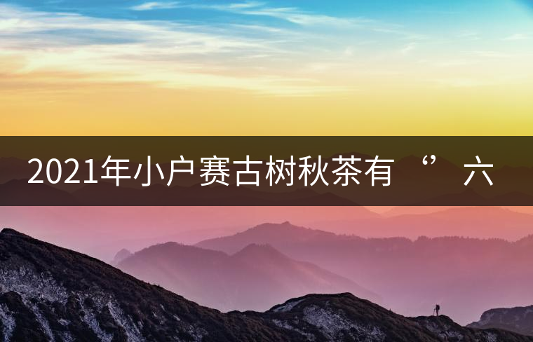 2021年小戶賽古樹秋茶有‘’六奇‘’