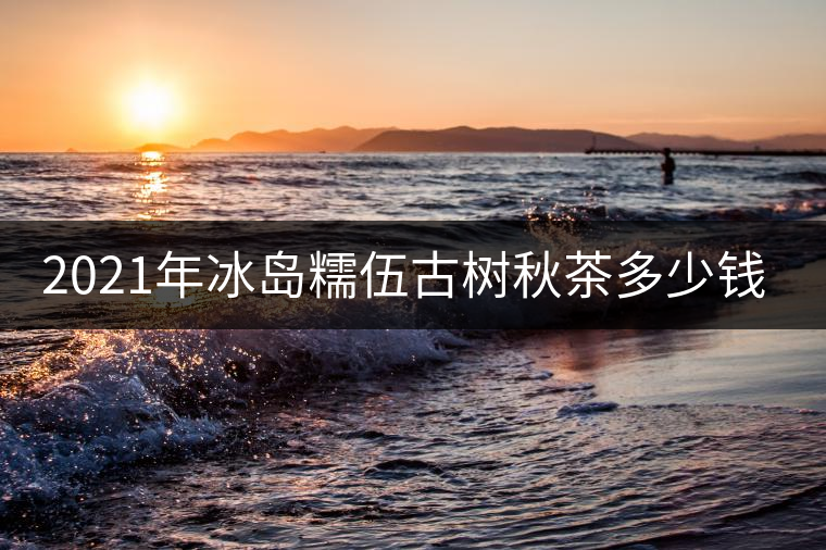 2021年冰島糯伍古樹秋茶多少錢一公斤？