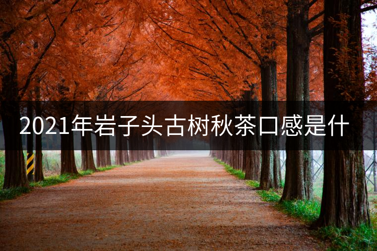 2021年巖子頭古樹秋茶口感是什么？
