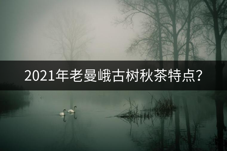 2021年老曼峨古樹秋茶特點？