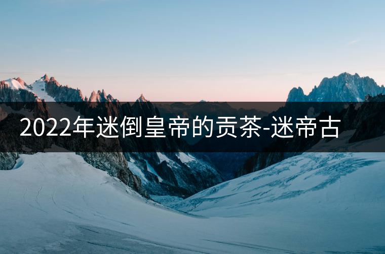 2022年迷倒皇帝的貢茶-迷帝古樹春茶特點？