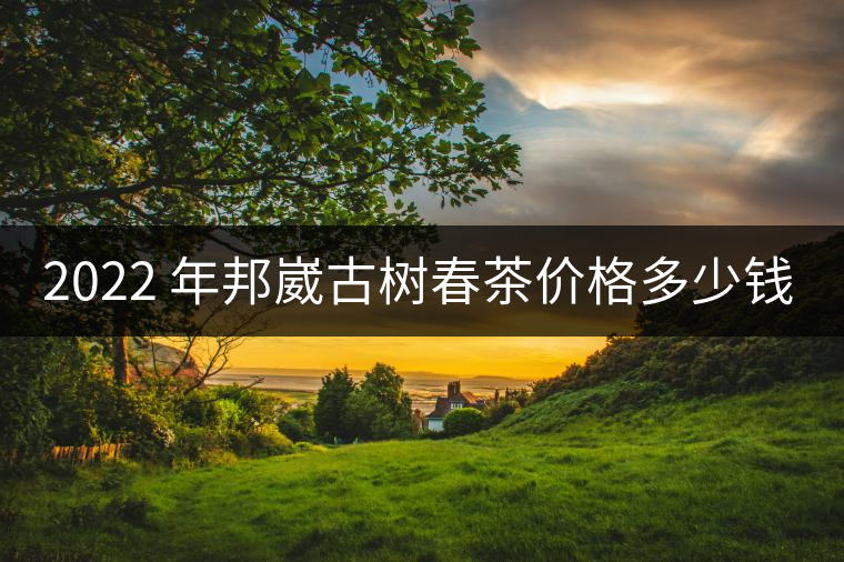 2022 年邦崴古樹春茶價格多少錢一公斤？