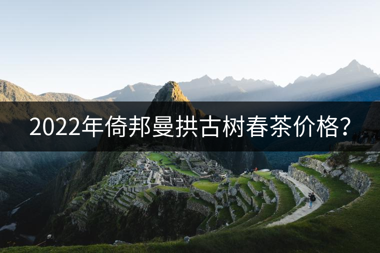 2022年倚邦曼拱古樹春茶價(jià)格？