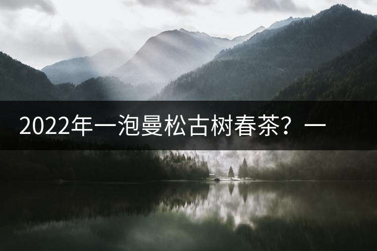 2022年一泡曼松古樹(shù)春茶？一飲帝王味……