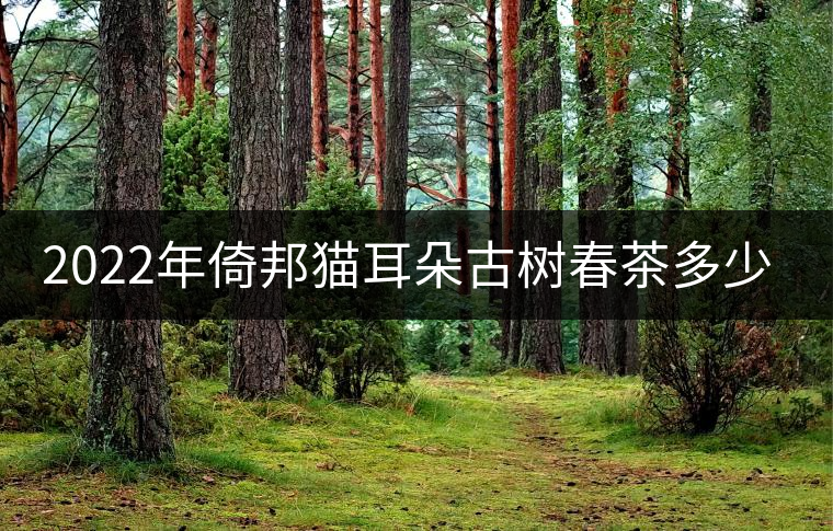 2022年倚邦貓耳朵古樹春茶多少錢一公斤？