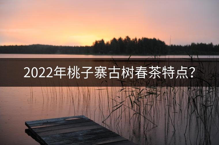 2022年桃子寨古樹春茶特點? 2022年桃子寨古樹春茶特點?