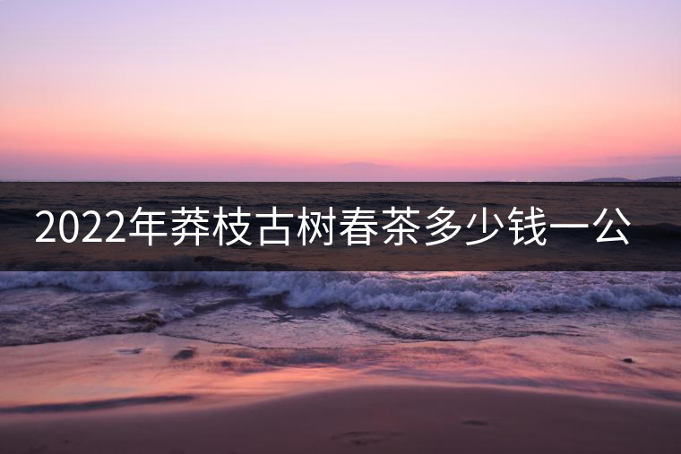 2022年莽枝古樹春茶多少錢一公斤？