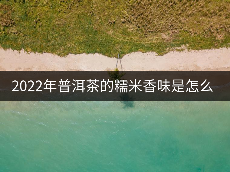 2022年普洱茶的糯米香味是怎么來(lái)的？