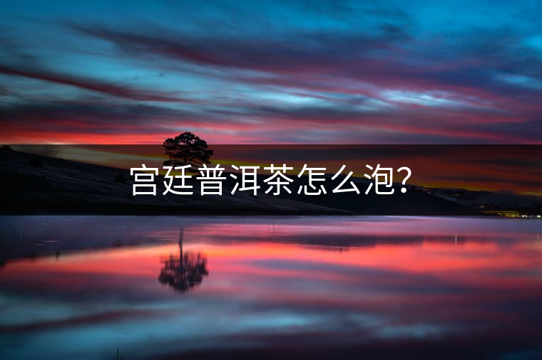 宮廷普洱茶怎么泡？