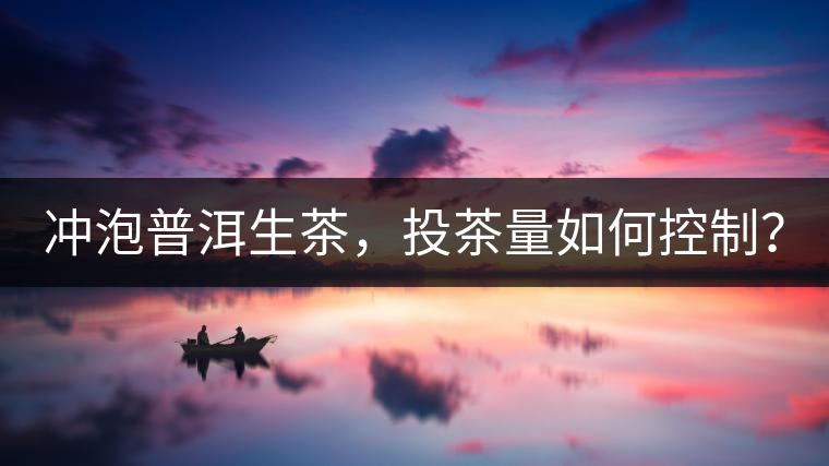 沖泡普洱生茶，投茶量如何控制？