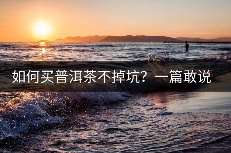 如何買普洱茶不掉坑？一篇敢說真話的良心之作。