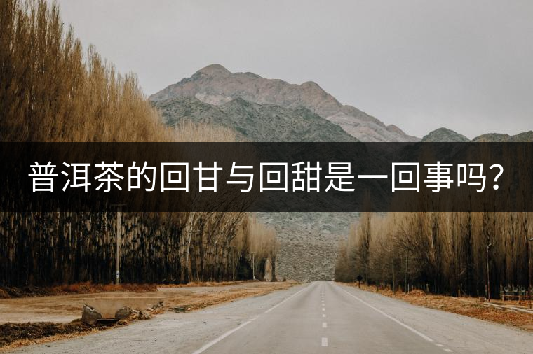 普洱茶的回甘與回甜是一回事嗎？？