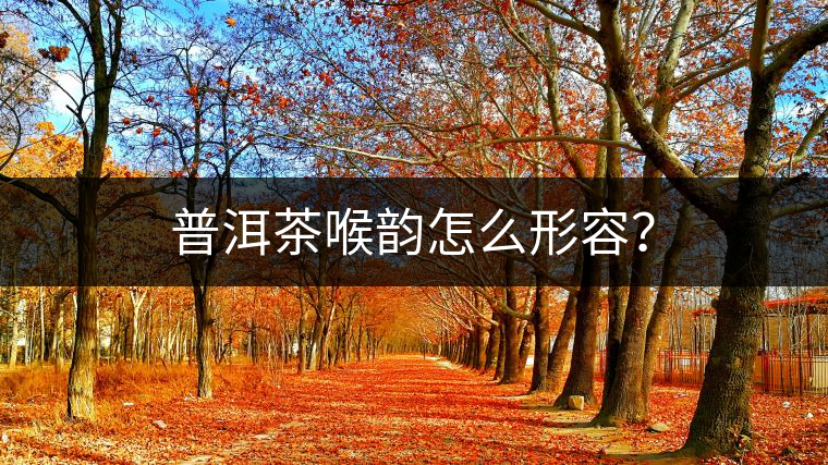 普洱茶喉韻怎么形容？