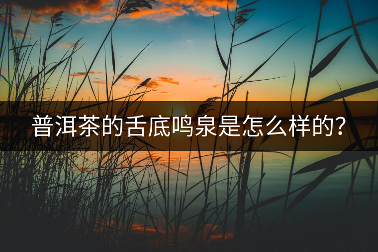 普洱茶的舌底鳴泉是怎么樣的？