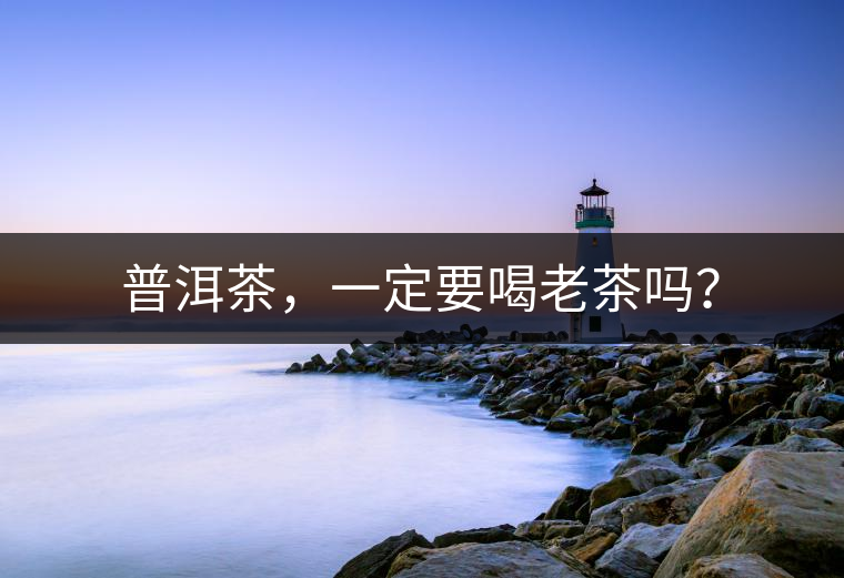 普洱茶，一定要喝老茶嗎？