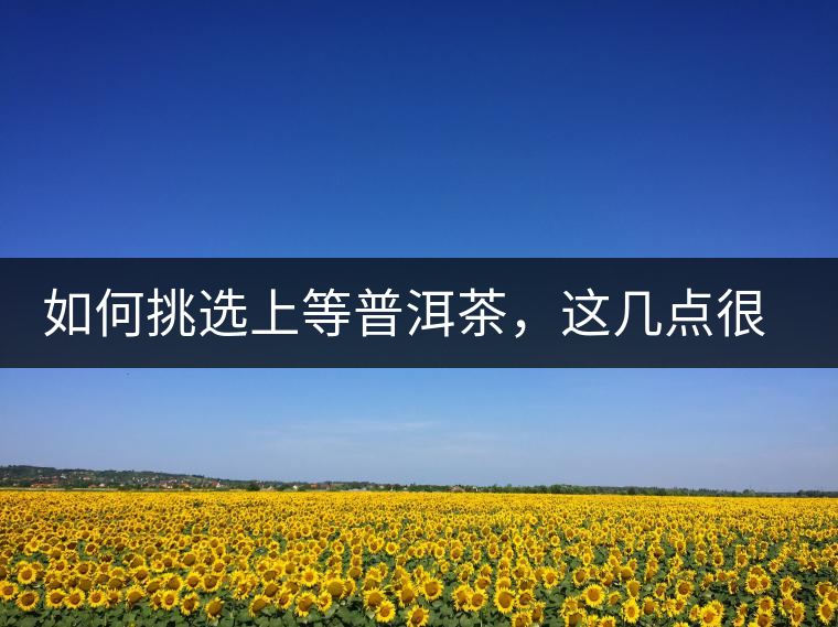 如何挑選上等普洱茶，這幾點(diǎn)很關(guān)鍵