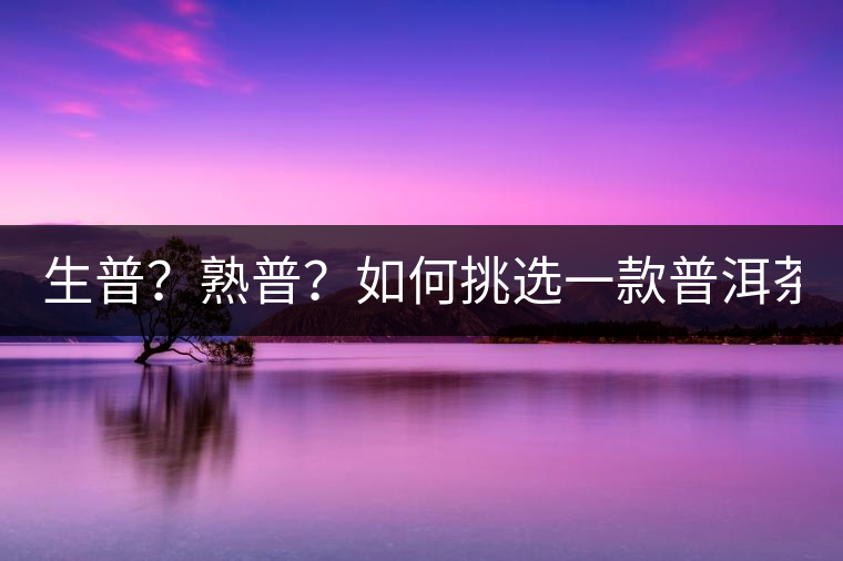 生普？熟普？如何挑選一款普洱茶？