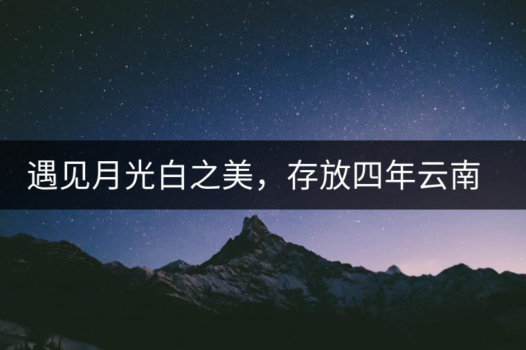 遇見月光白之美，存放四年云南古樹白茶