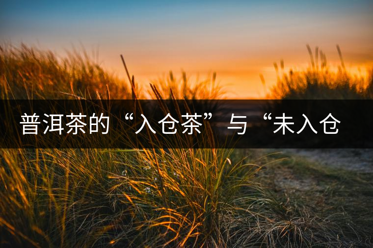 普洱茶的“入倉茶”與“未入倉茶”如何區(qū)分，你造嗎？