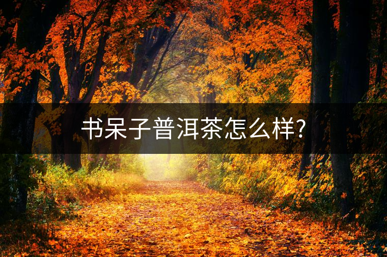 書呆子普洱茶怎么樣? 書呆子普洱茶怎么樣?