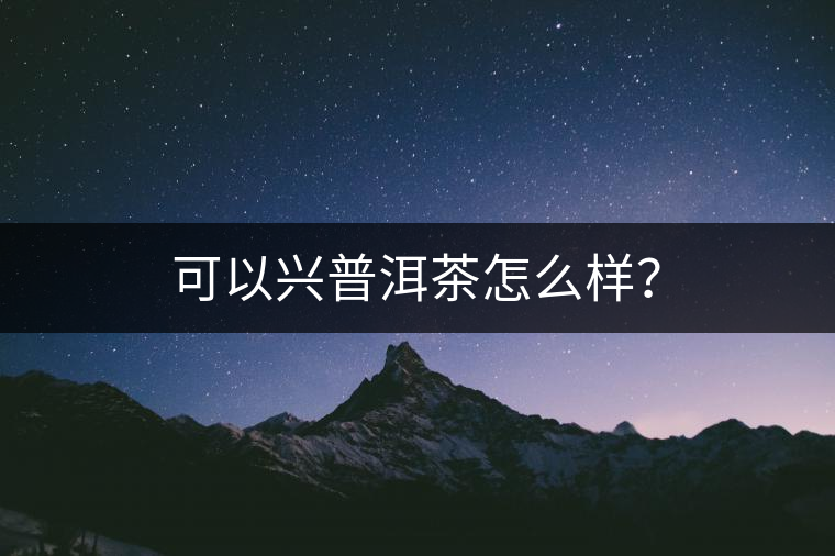 可以興普洱茶怎么樣？