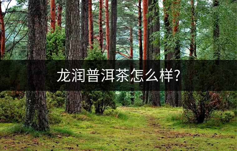 龍潤(rùn)普洱茶怎么樣?