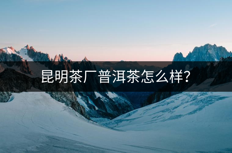 昆明茶廠普洱茶怎么樣？