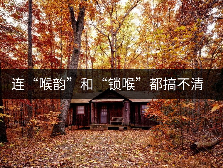 連“喉韻”和“鎖喉”都搞不清楚，就不要說懂普洱茶！