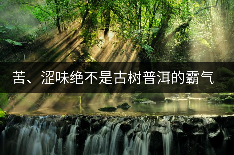 苦、澀味絕不是古樹普洱的霸氣，那也叫懂普洱茶，別逗了！