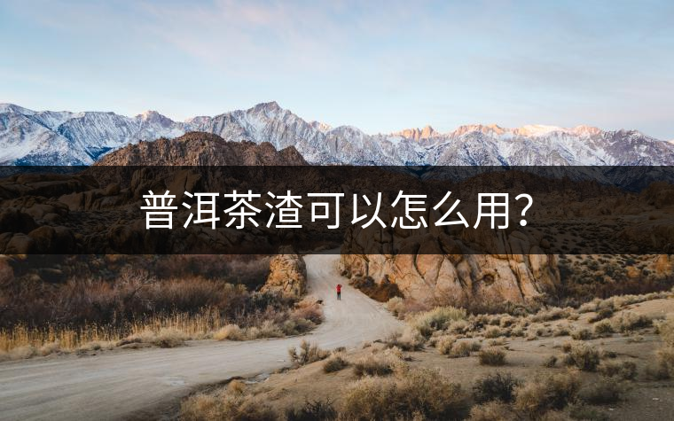 普洱茶渣可以怎么用？