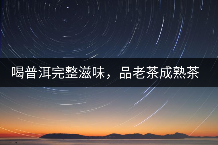 喝普洱完整滋味，品老茶成熟茶湯