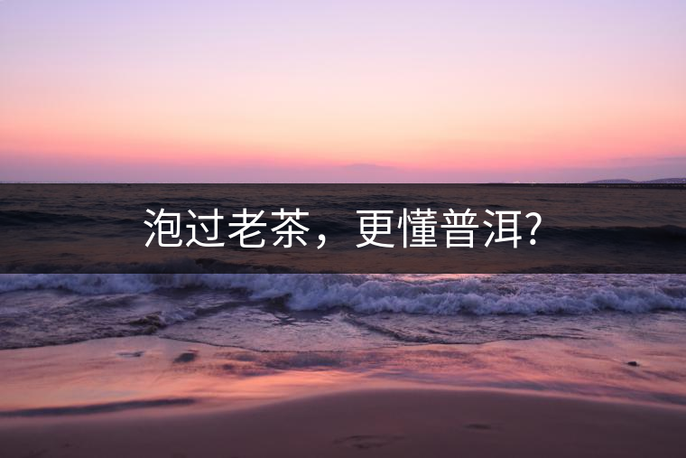 泡過(guò)老茶，更懂普洱?