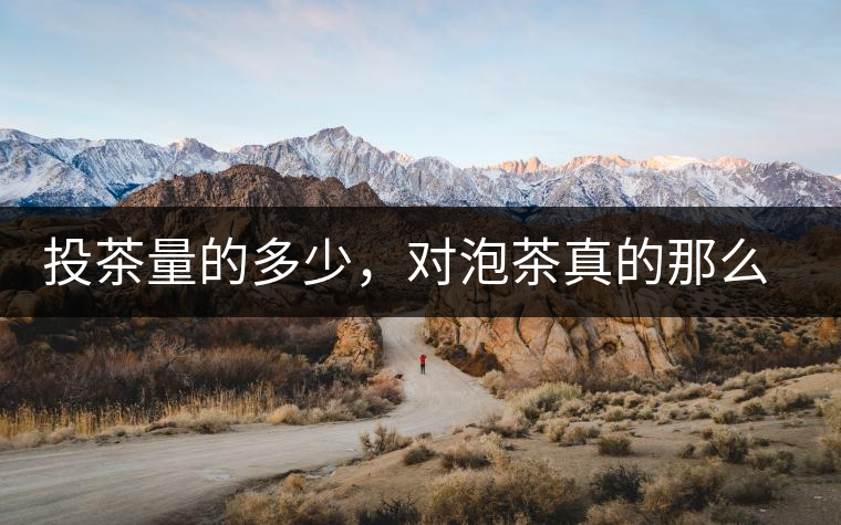 投茶量的多少，對泡茶真的那么重要嗎？