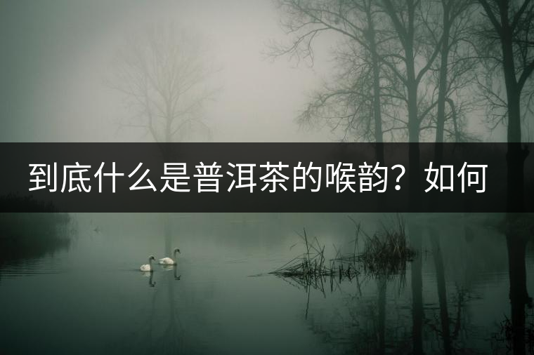 到底什么是普洱茶的喉韻？如何感受？