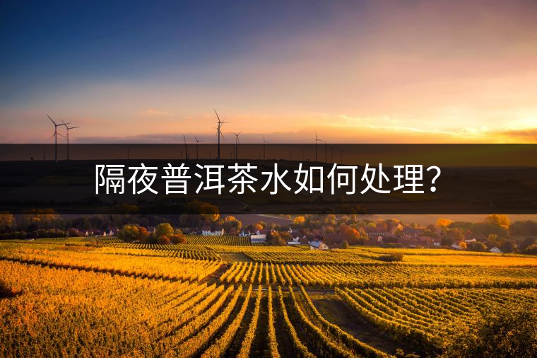 隔夜普洱茶水如何處理？