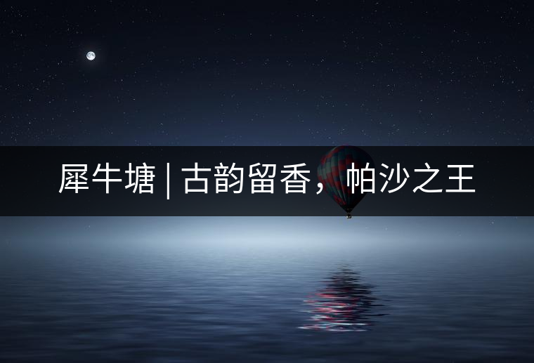 犀牛塘 | 古韻留香，帕沙之王