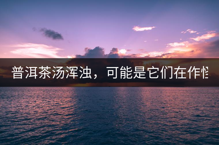 普洱茶湯渾濁，可能是它們在作怪？