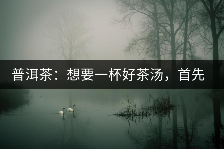 普洱茶：想要一杯好茶湯，首先要會醒茶