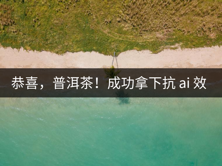 恭喜，普洱茶！成功拿下抗 ai 效果第二名！