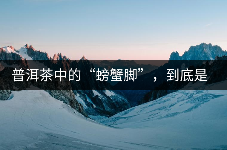 普洱茶中的“螃蟹腳”，到底是什么？如何辨別？