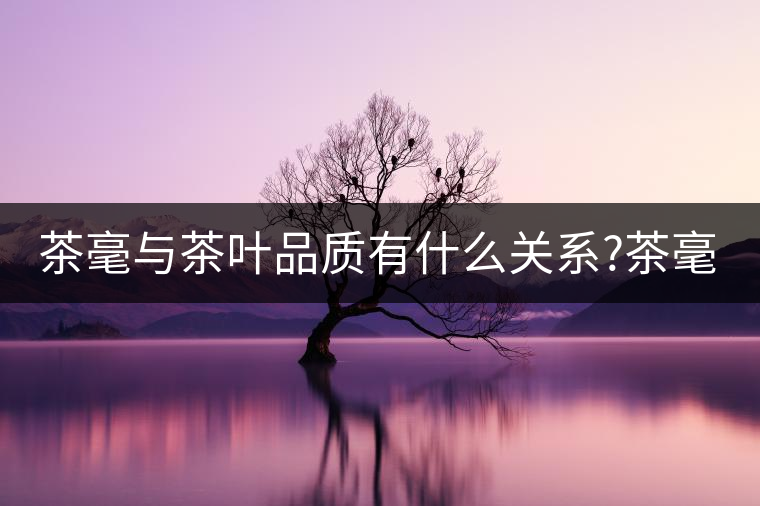 茶毫與茶葉品質有什么關系?茶毫能決定品質嗎? 茶毫與茶葉品質有什么關系?茶毫能決定品質嗎?
