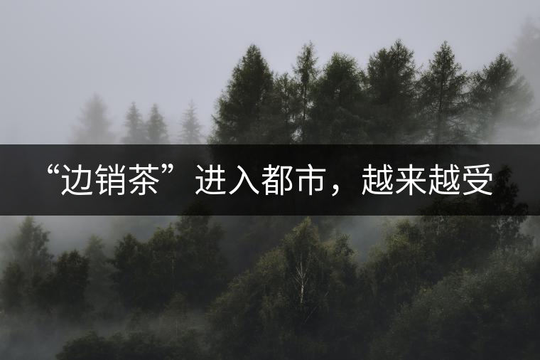 “邊銷茶”進入都市，越來越受人們青睞