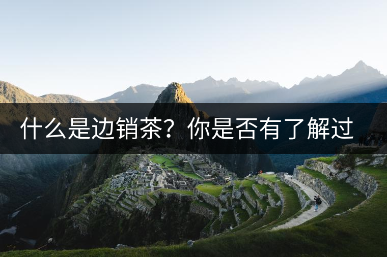 什么是邊銷茶？你是否有了解過邊銷茶呢？