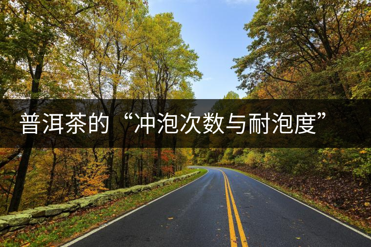 普洱茶的“沖泡次數(shù)與耐泡度”，你都了解嗎？