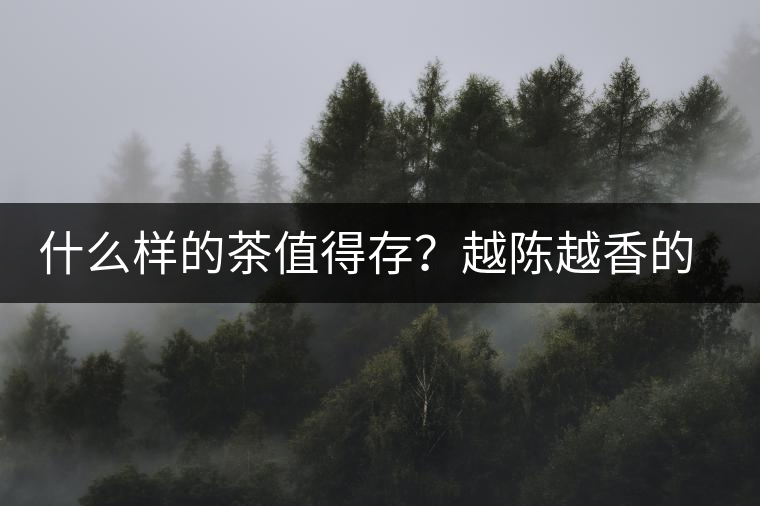 什么樣的茶值得存？越陳越香的本質(zhì)是什么？