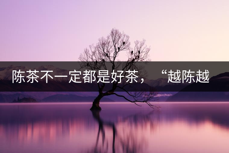 陳茶不一定都是好茶，“越陳越香”也要看茶種類！