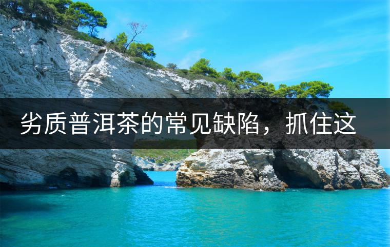 劣質(zhì)普洱茶的常見(jiàn)缺陷，抓住這三個(gè)特征，拒絕劣質(zhì)茶！