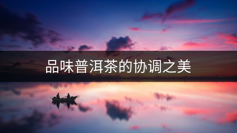 品味普洱茶的協調之美