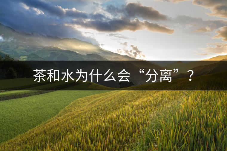 茶和水為什么會“分離”？